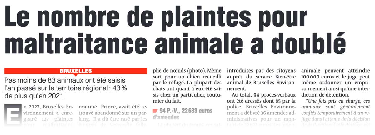Extrait de presse, La Dernière Heure : "Le nombre de plaintes pour maltraitance animale a doublé"
