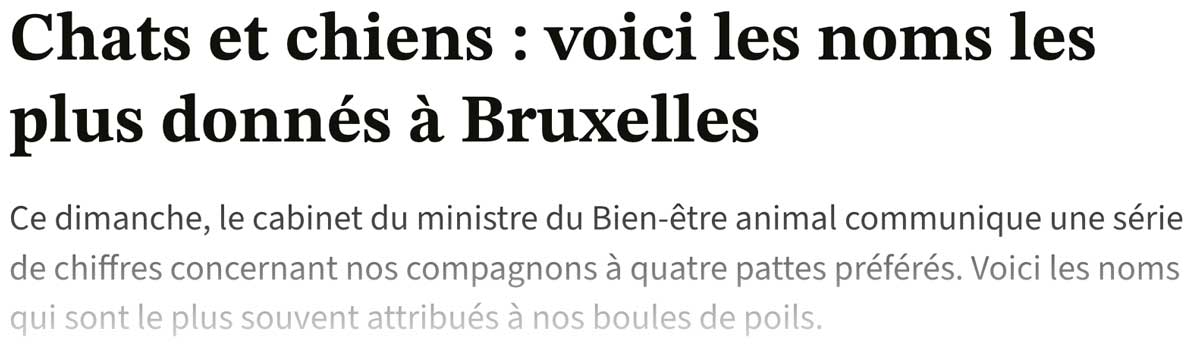 Extrait de presse, Le Soir : "Plus de 57.000 chats et 88.000 chiens enregistrés en Région bruxelloise".