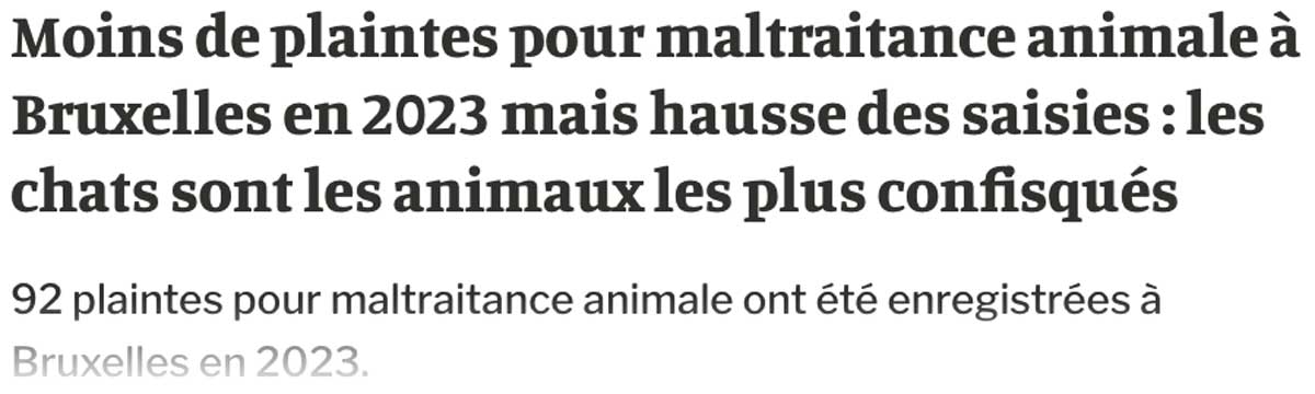 Extrait de presse, La Libre : "Moins de plaintes pour maltraitance animale à Bruxelles en 2023 mais hausse des saisies : les chats sont les animaux les plus confisqués".