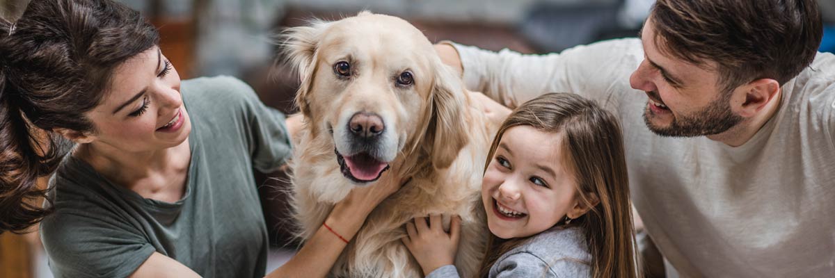 Famille en compagnie de leur chien : l'animal domestique peut prendre une place importante dans la famille. Son bien-être est d'une importance cruciale.