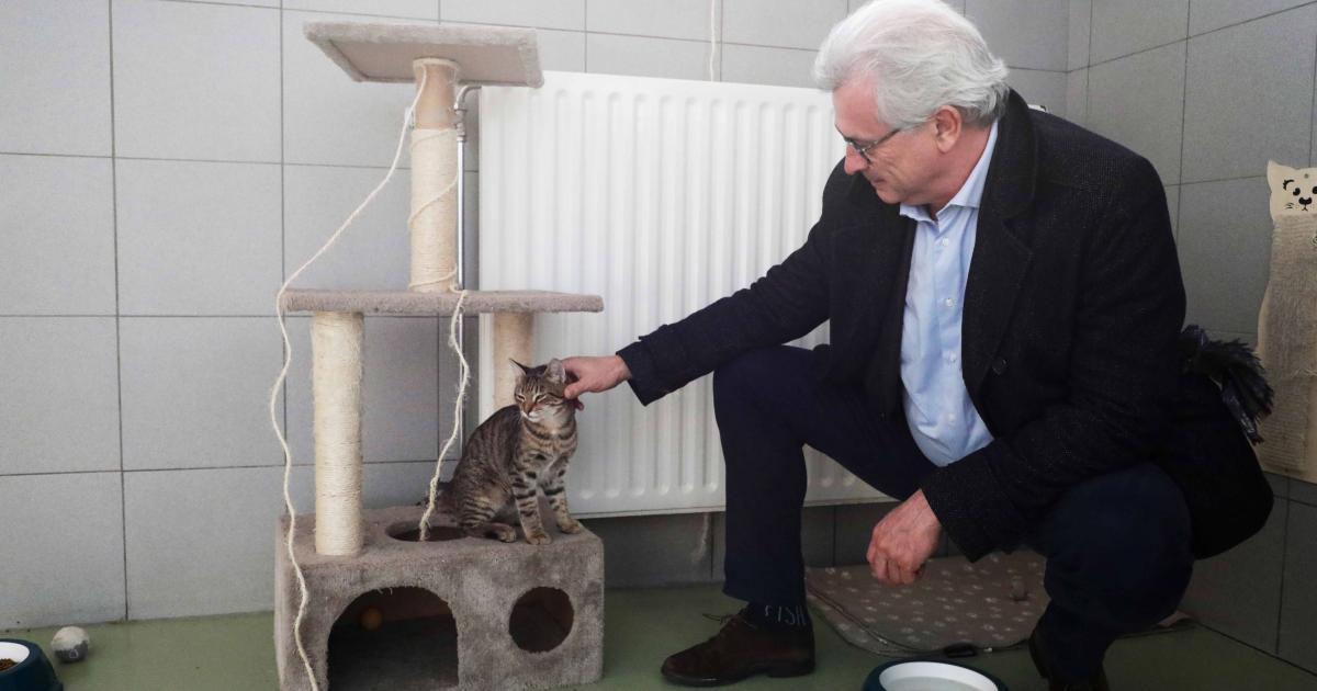 Bernard Clerfayt, de Brusselse minister van Dierenwelzijn